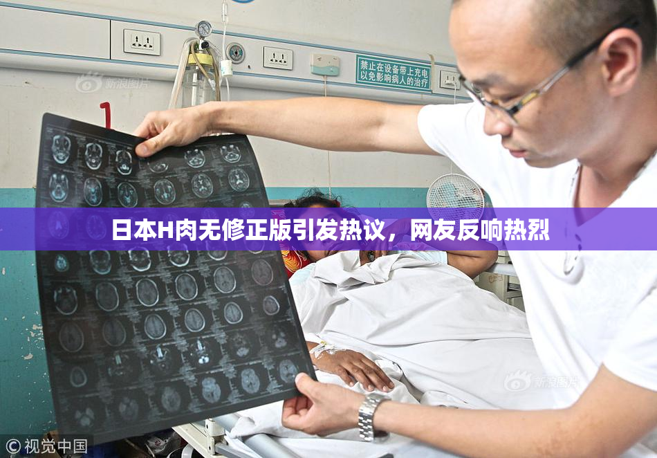 日本H肉无修正版引发热议，网友反响热烈