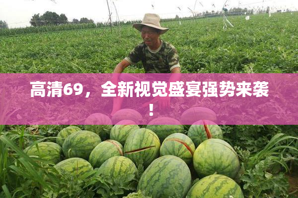 高清69，全新视觉盛宴强势来袭！