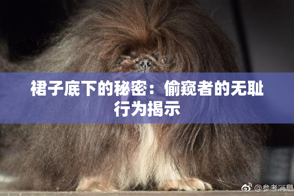 裙子底下的秘密：偷窥者的无耻行为揭示