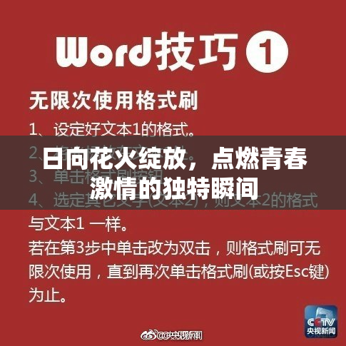 日向花火绽放，点燃青春激情的独特瞬间