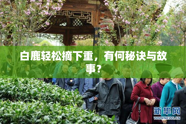白鹿轻松摘下重，有何秘诀与故事？