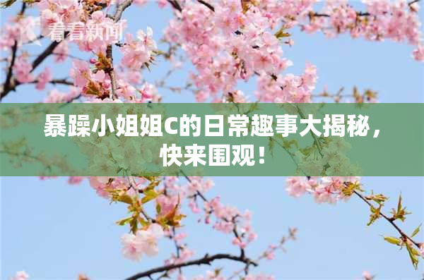 暴躁小姐姐C的日常趣事大揭秘，快来围观！