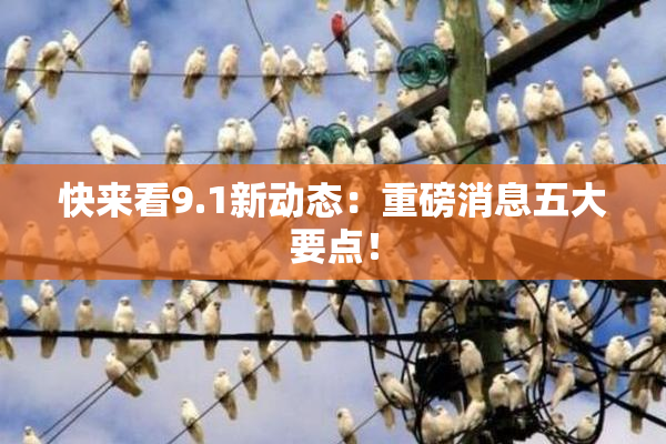 快来看9.1新动态：重磅消息五大要点！