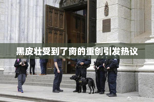 黑皮壮受到了脔的重创引发热议