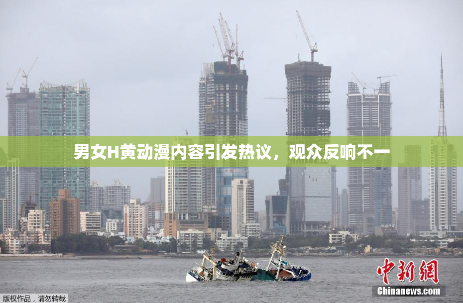 男女H黄动漫内容引发热议，观众反响不一