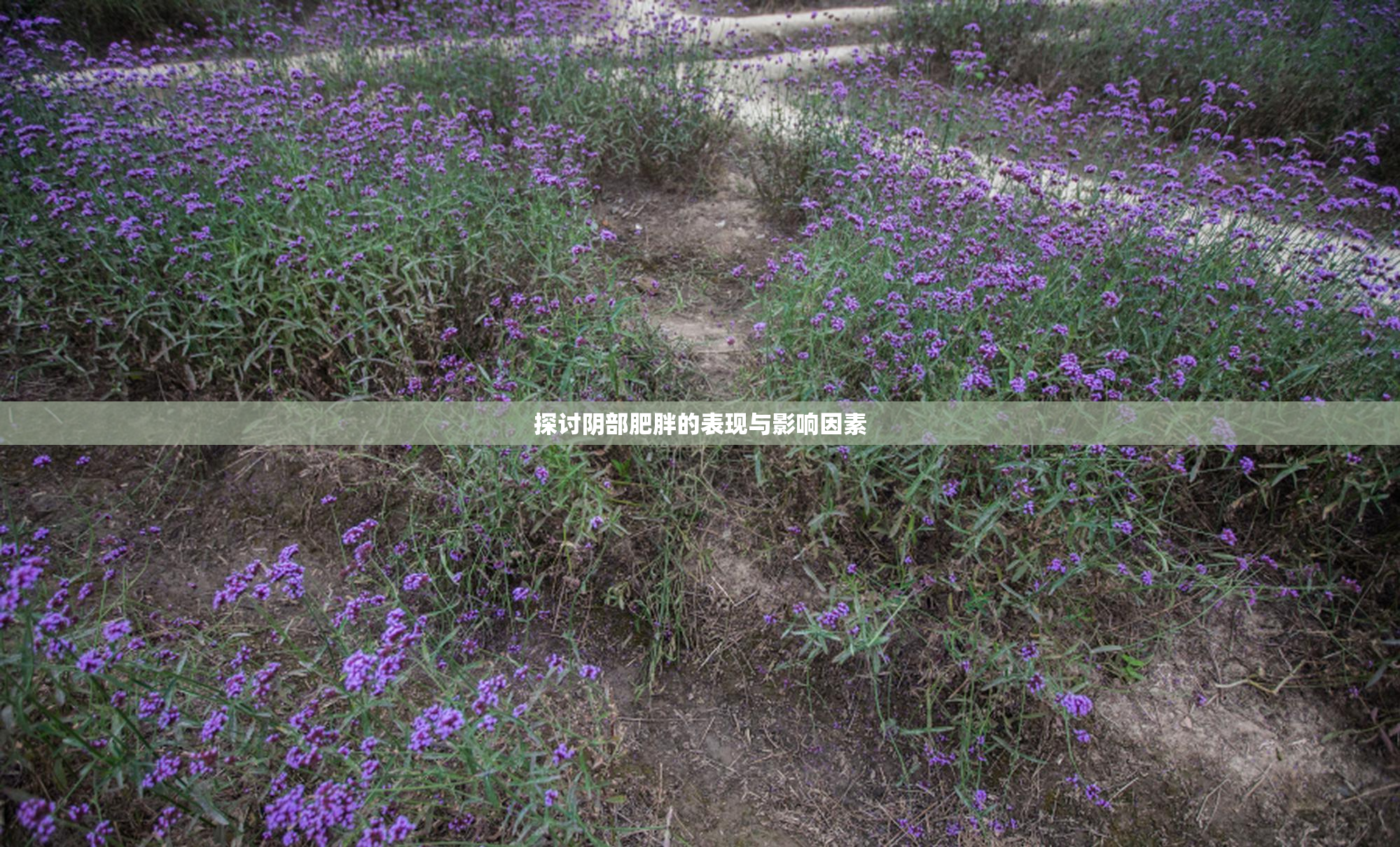 探讨阴部肥胖的表现与影响因素