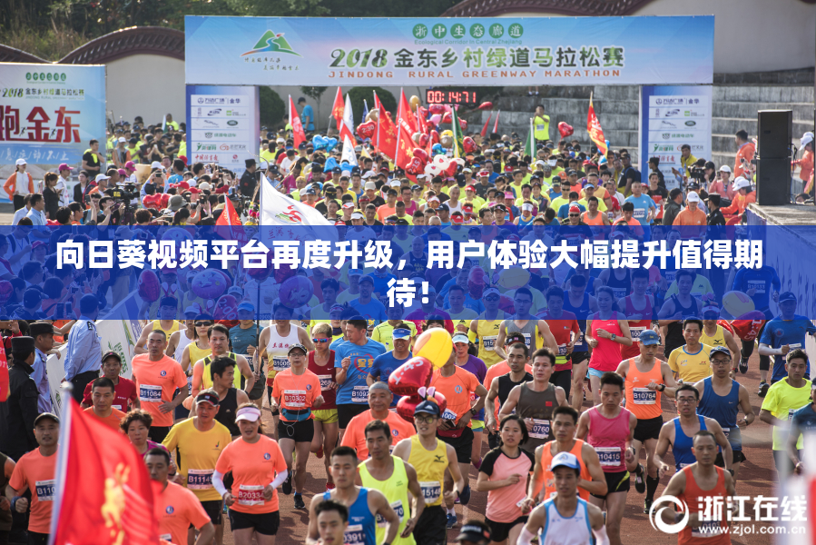 向日葵视频平台再度升级，用户体验大幅提升值得期待！