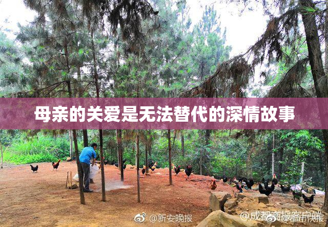母亲的关爱是无法替代的深情故事