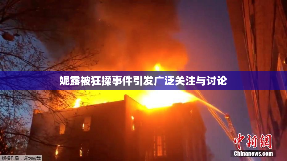 妮露被狂揉事件引发广泛关注与讨论