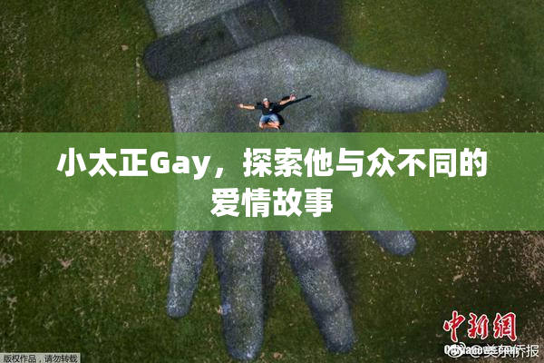 小太正Gay，探索他与众不同的爱情故事