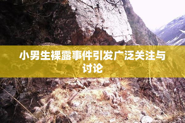 小男生裸露事件引发广泛关注与讨论