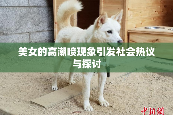美女的高潮喷现象引发社会热议与探讨