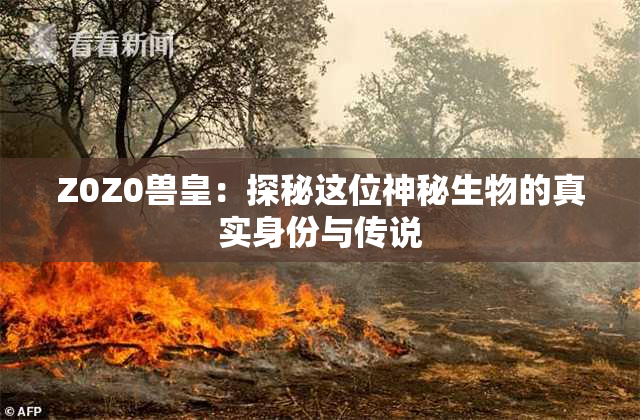 Z0Z0兽皇：探秘这位神秘生物的真实身份与传说
