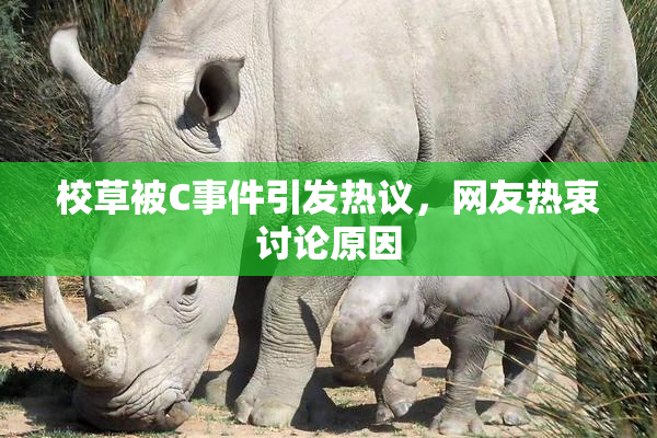 校草被C事件引发热议，网友热衷讨论原因