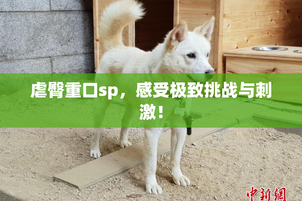虐臀重口sp，感受极致挑战与刺激！