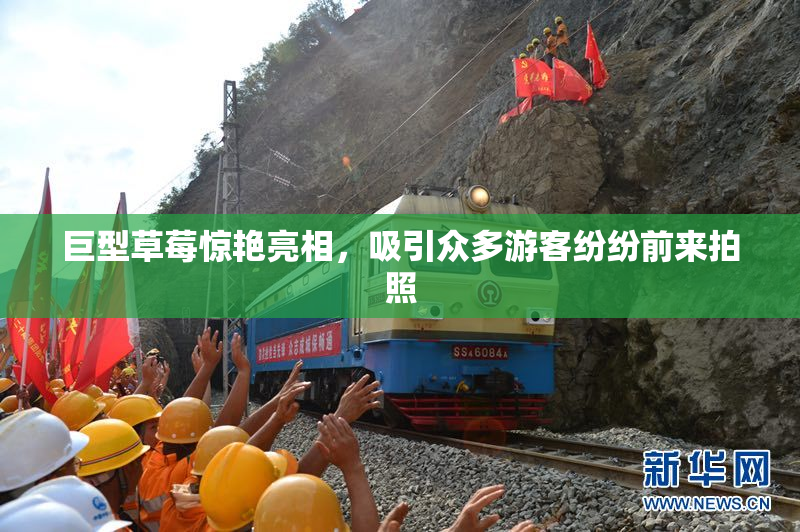 巨型草莓惊艳亮相，吸引众多游客纷纷前来拍照