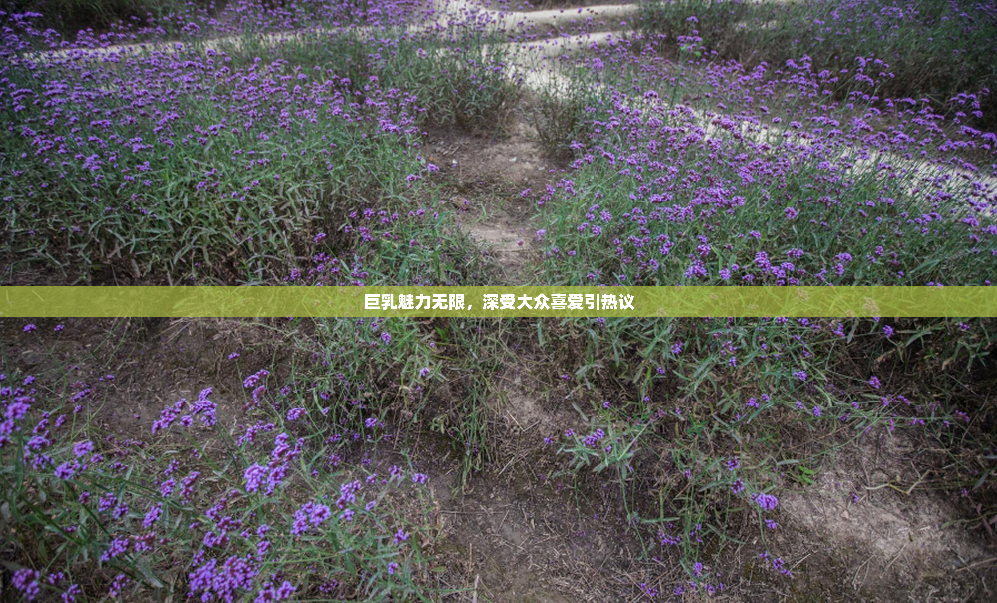 巨乳魅力无限，深受大众喜爱引热议