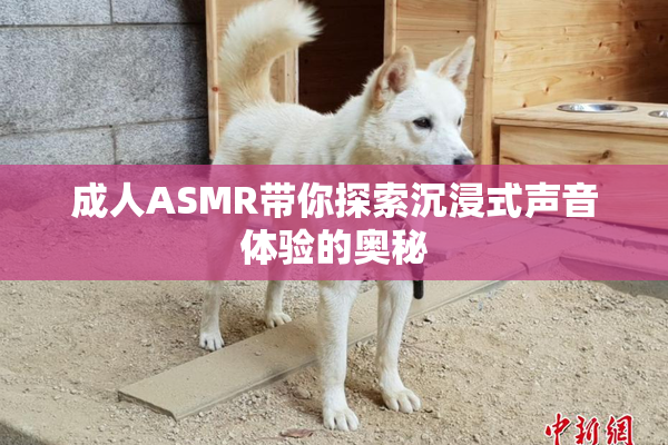 成人ASMR带你探索沉浸式声音体验的奥秘