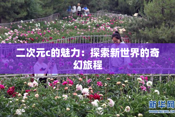 二次元c的魅力：探索新世界的奇幻旅程