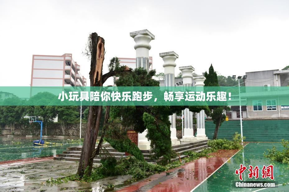 小玩具陪你快乐跑步，畅享运动乐趣！