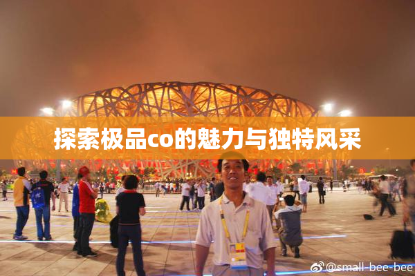 探索极品co的魅力与独特风采