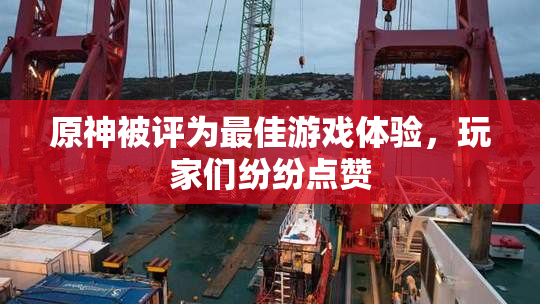 原神被评为最佳游戏体验，玩家们纷纷点赞