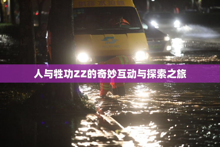 人与牲功ZZ的奇妙互动与探索之旅