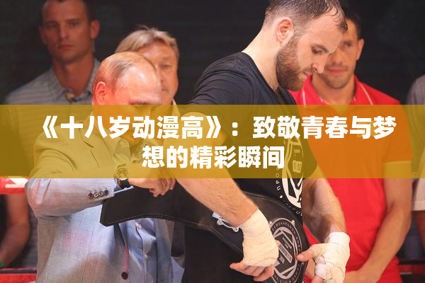 《十八岁动漫高》：致敬青春与梦想的精彩瞬间