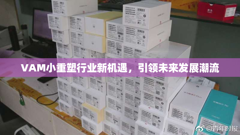 VAM小重塑行业新机遇，引领未来发展潮流