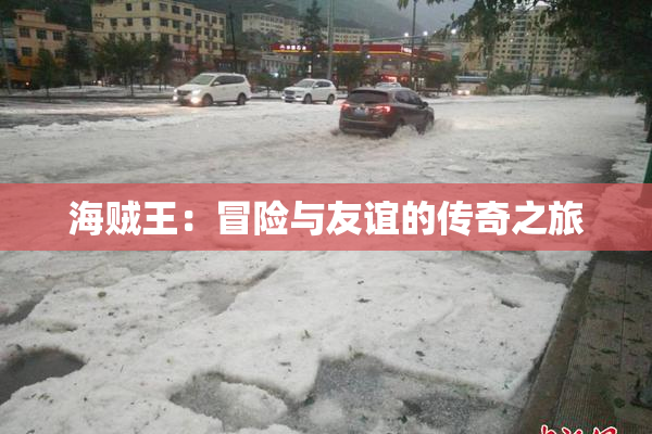 海贼王：冒险与友谊的传奇之旅