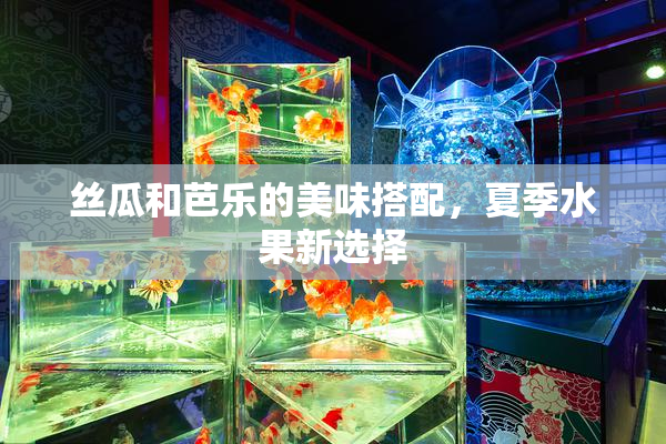 丝瓜和芭乐的美味搭配，夏季水果新选择