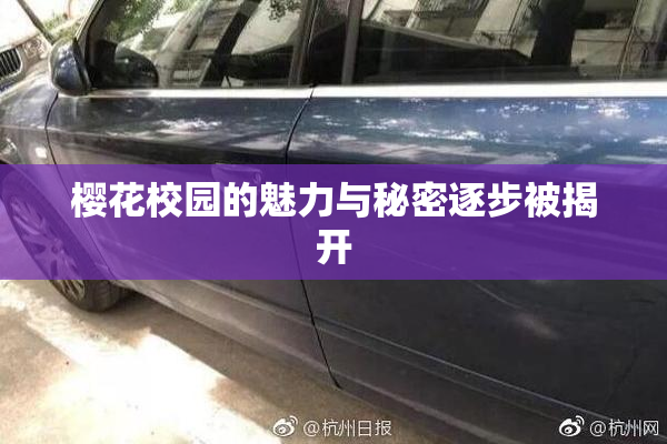 樱花校园的魅力与秘密逐步被揭开