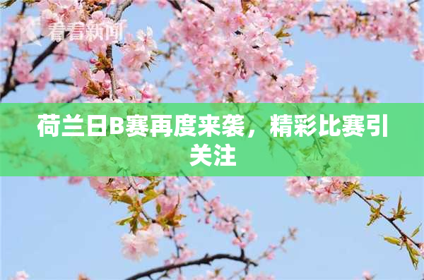 荷兰日B赛再度来袭，精彩比赛引关注