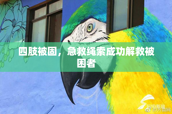 四肢被固，急救绳索成功解救被困者