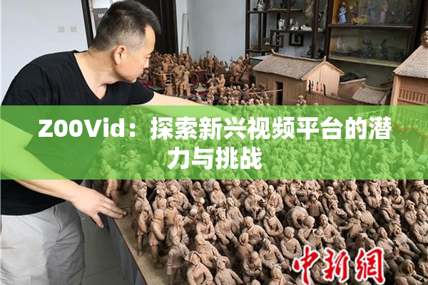 Z00Vid：探索新兴视频平台的潜力与挑战