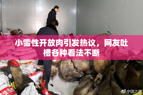 小雪性开放肉引发热议，网友吐槽各种看法不断