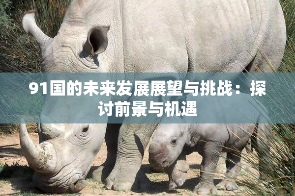 91国的未来发展展望与挑战：探讨前景与机遇