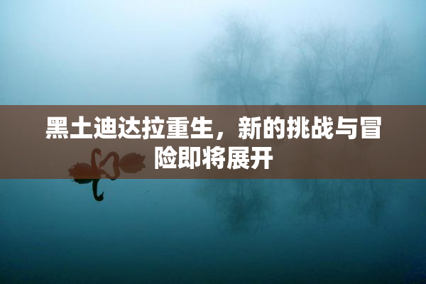 黑土迪达拉重生，新的挑战与冒险即将展开