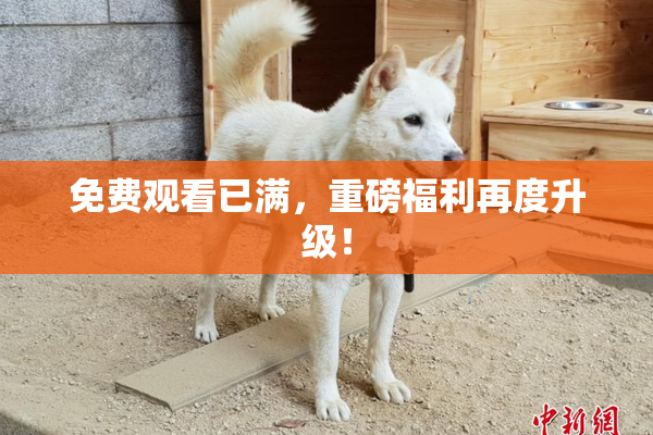 免费观看已满，重磅福利再度升级！