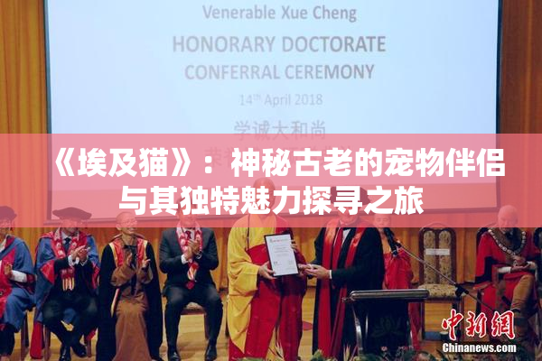《埃及猫》：神秘古老的宠物伴侣与其独特魅力探寻之旅