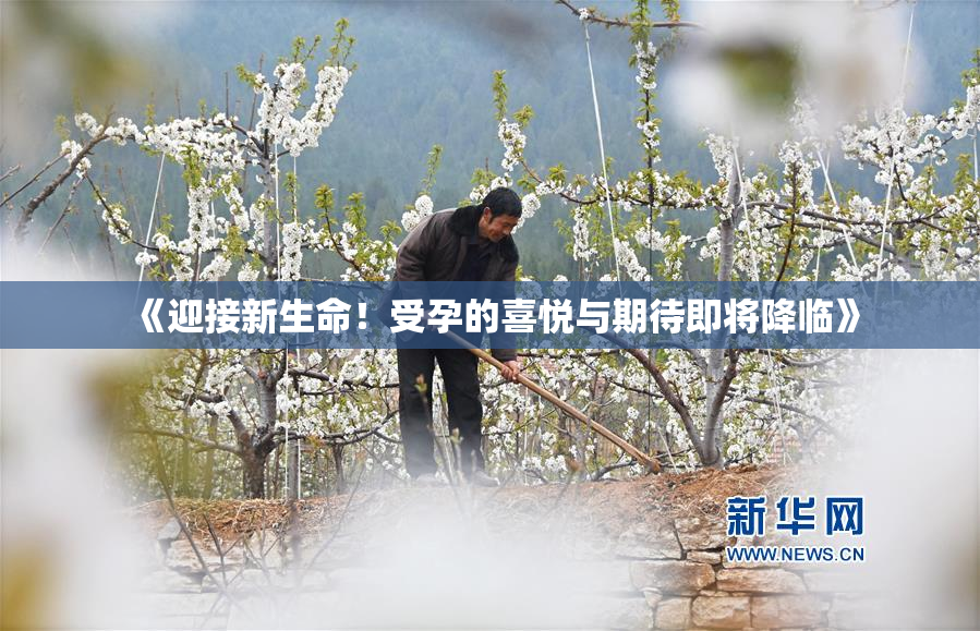 《迎接新生命！受孕的喜悦与期待即将降临》