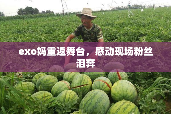 exo妈重返舞台，感动现场粉丝泪奔