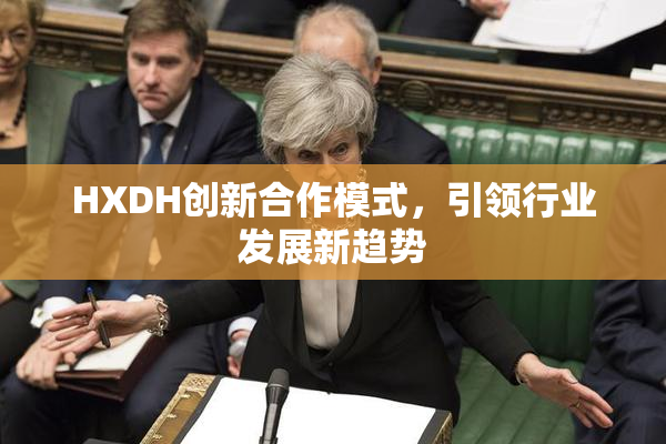 HXDH创新合作模式，引领行业发展新趋势