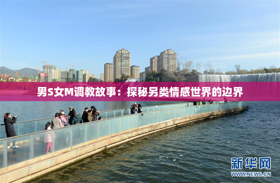 男S女M调教故事：探秘另类情感世界的边界