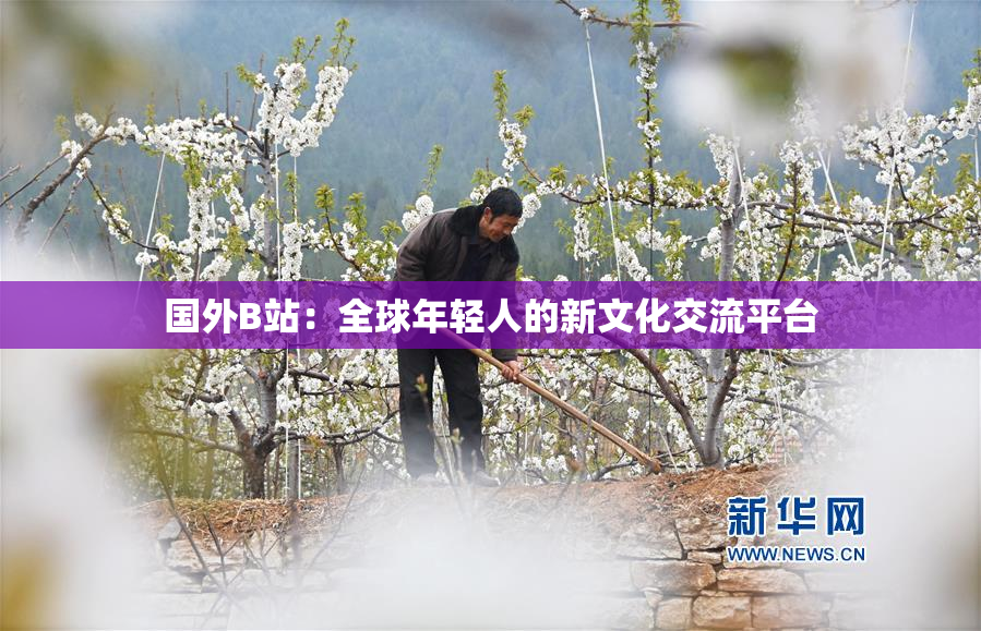 国外B站：全球年轻人的新文化交流平台