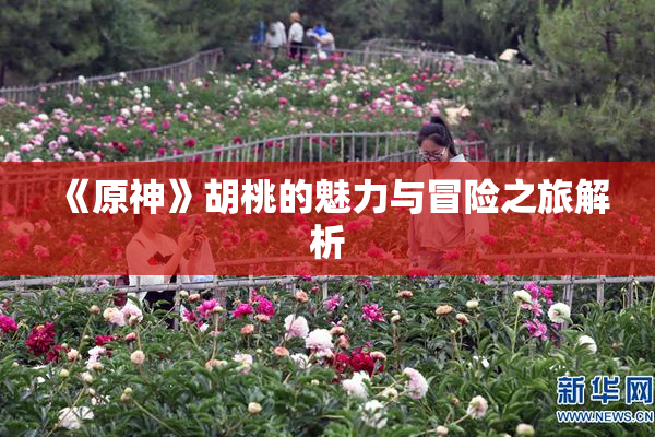 《原神》胡桃的魅力与冒险之旅解析