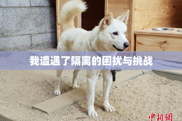 我遭遇了隔离的困扰与挑战