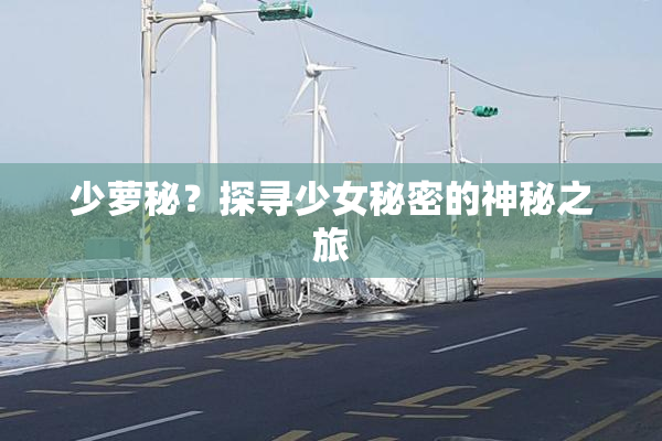 少萝秘？探寻少女秘密的神秘之旅