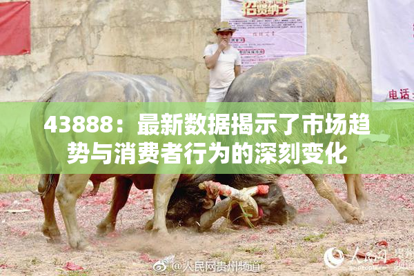 43888：最新数据揭示了市场趋势与消费者行为的深刻变化