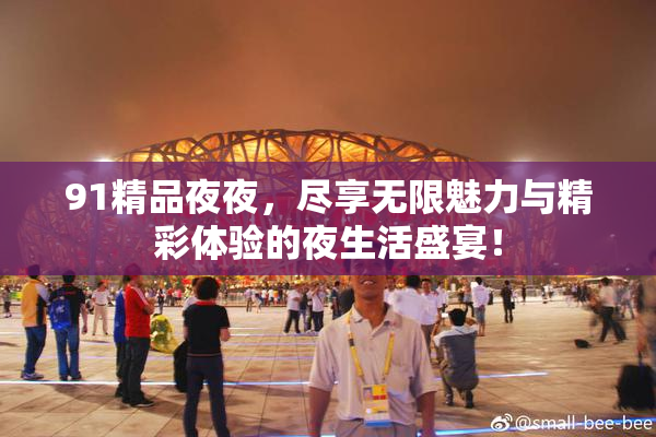 91精品夜夜，尽享无限魅力与精彩体验的夜生活盛宴！